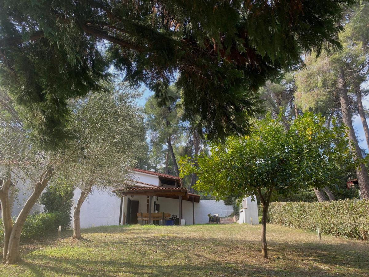 Sani Garden House Villa Buitenkant foto