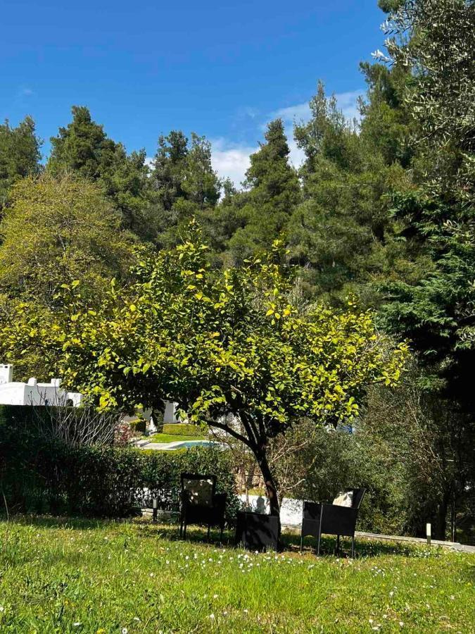 Sani Garden House Villa Buitenkant foto